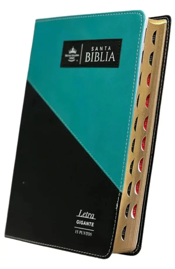 Reina Valera 1960 Triangular Negro Turquesa - Imagen 3