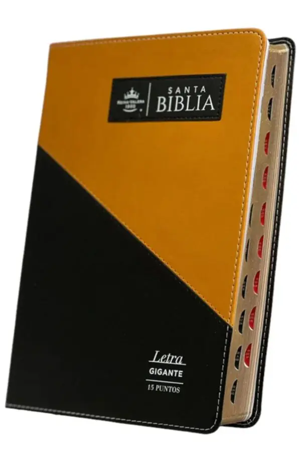 Reina Valera 1960  Triangular Negro Café - Imagen 2