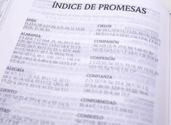 RVR 1960 de Promesas Turquesa Letra Gigante - Imagen 4