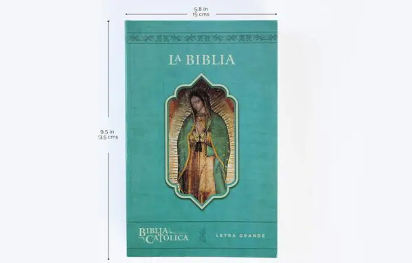 La Biblia Católica:  Rústica con Virgen - Imagen 2