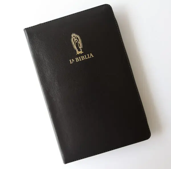 La Biblia Católica Grande / Negra / Cremallera - Imagen 3