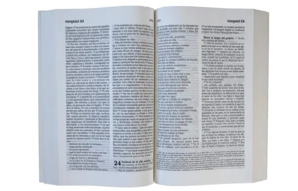 La Biblia Católica:  Rústica con Virgen - Imagen 4