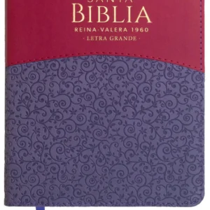 Reina Valera 1960 LG Lila Morado