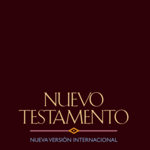 Biblia NVI Nuevo Testamento 9781563201240