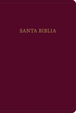Biblia tamaño manual Borgoña