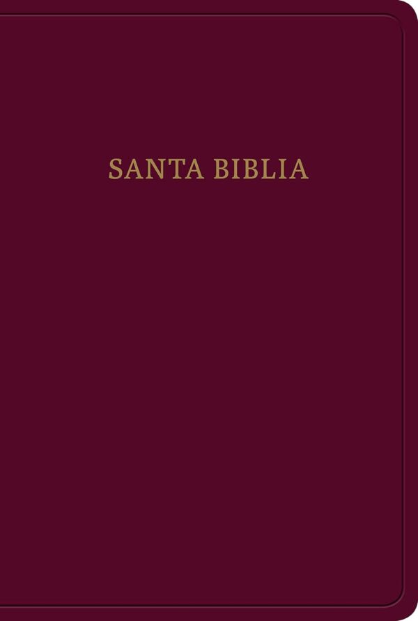 Biblia tamaño manual Borgoña