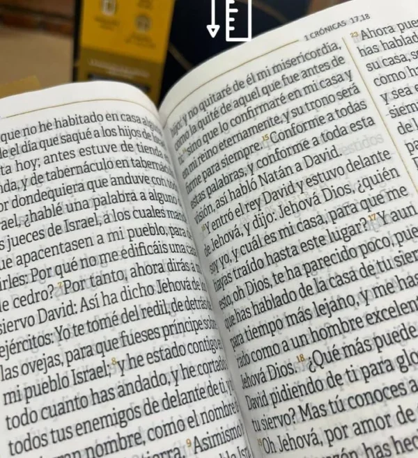 Biblia RVR60 Letra Súper Gigante Color Negro Canto Dorado Qr - Imagen 4