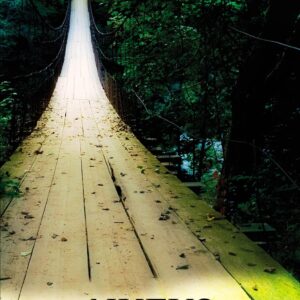 Biblia NVI Nuevo Testamento Puente