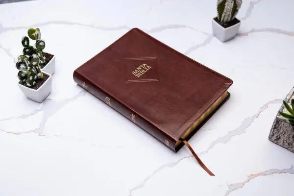 Biblia RVR60/Letra Supergigante/2023/Marrón - Imagen 3