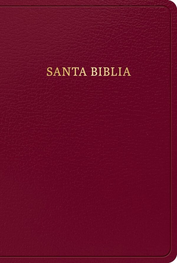 Biblia/RVR/1960 Letra/Grande Borgoña/2023