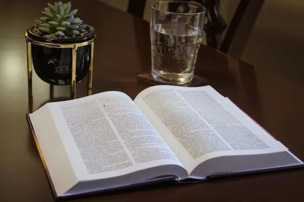 Biblia/Católica Tapa/Dura Comfort/Print - Imagen 10