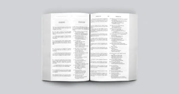 Santa Biblia RVR Paralela - Imagen 3