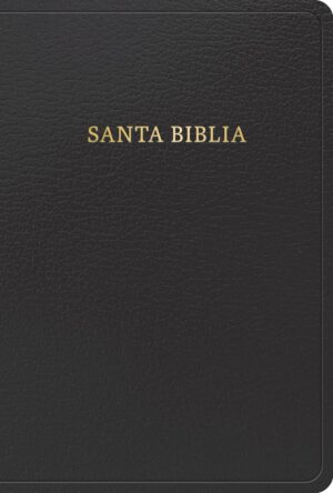 Biblia/RVR/1960 Letra/Grande/Negra