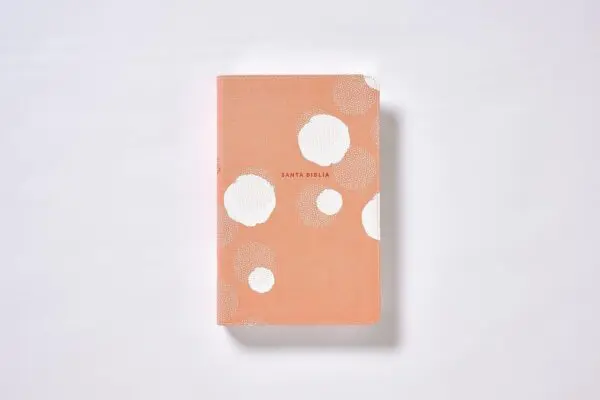 NBLA Biblia de Estudio para Jóvenes - Imagen 4