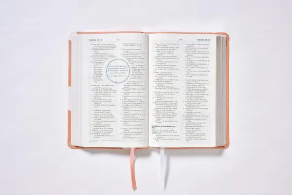 NBLA Biblia de Estudio para Jóvenes - Imagen 5
