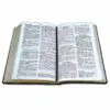 Biblia/RVR1960 Manual/Imitación/Bitono