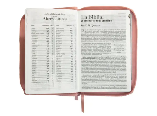 RVR 1960 Letra Grande Símil Rosa Café - Imagen 3