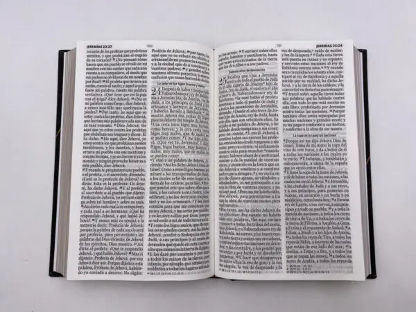 RVR 1960 Letra Grande Tapa Dura Moderno - Imagen 3
