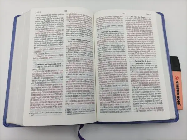 NVI Compacta Letra Grande Lila - Imagen 3