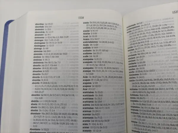 NVI Compacta Letra Grande Lila - Imagen 2