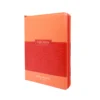 RVR 1960 Letra Gigante Coral Naranja