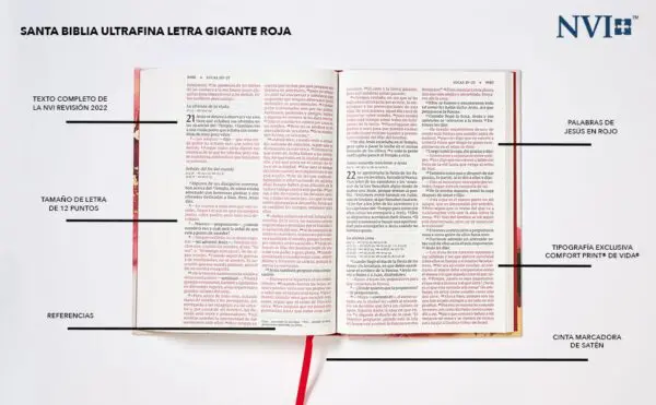 NVI 2022 / Letra Gigante /Tela - Imagen 2
