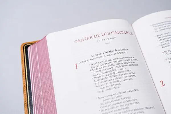 RVR 1960 Deluxe Piel caramelo - Imagen 2