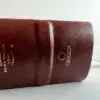 RVR 1960 de Estudio Dake Marrón - Imagen 4