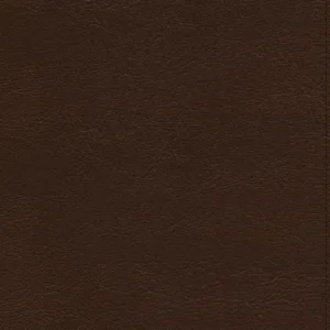 RVR 1977 Referencia Thompson Piel Café