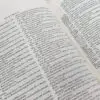 Biblia del Cántaro - Imagen 2