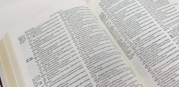 Biblia del Cántaro - Imagen 2