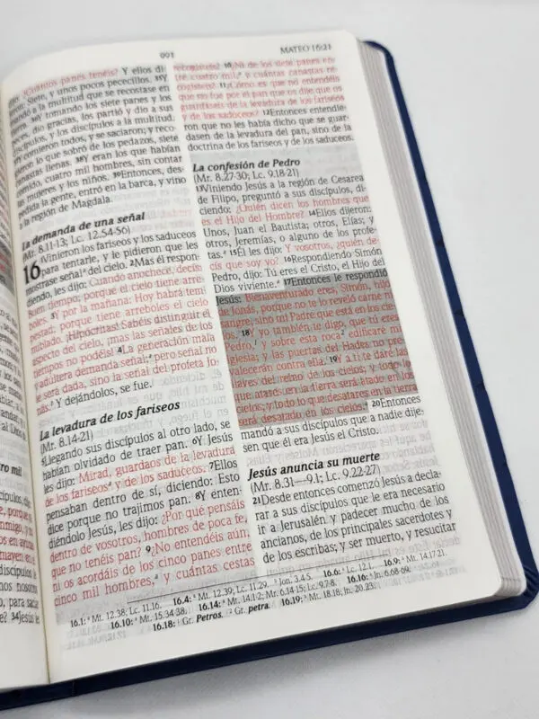 Biblia RVR60 de Promesas Letra Gigante Azul Triángulos - Imagen 2