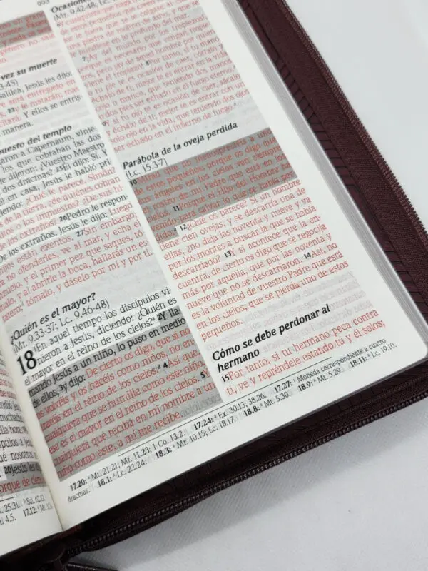 RVR 1960 de Promesas Letra Gigante Marrón Líneas - Imagen 2