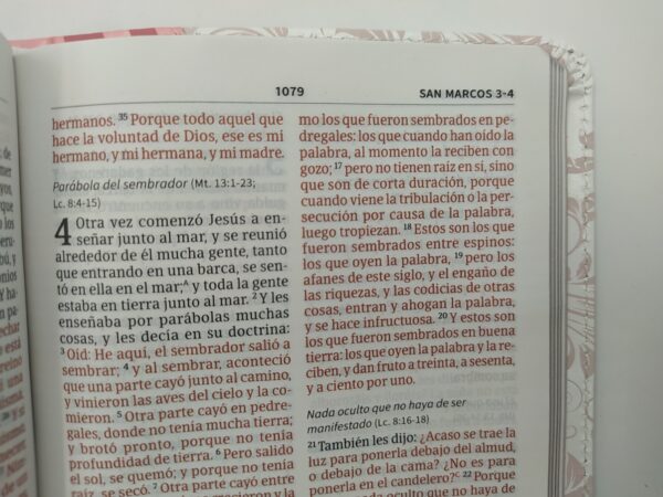 Biblia Quinceañeras Rosa / Blanco - Imagen 2