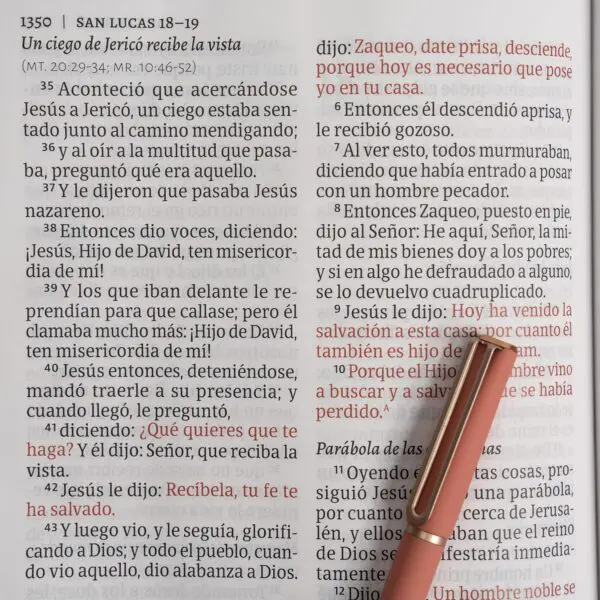 Biblia RVR60/ Letra Gigante/ Floreada - Imagen 2