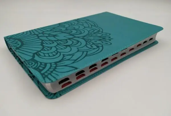 Biblia Ultrafina Rv60