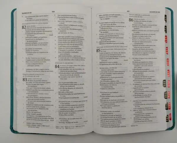 Biblia Ultrafina RV60