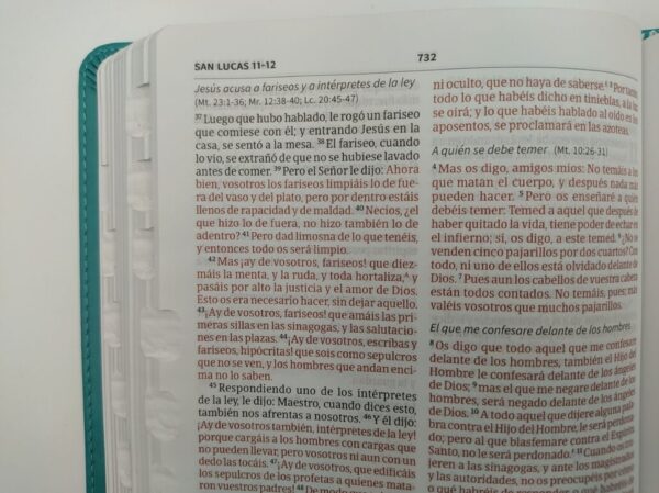Biblia Ultrafina RV60