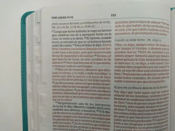 Biblia Ultrafina RV60