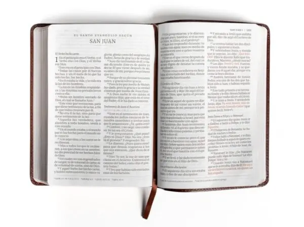 RVR 1960 Biblia letra gigante café piel