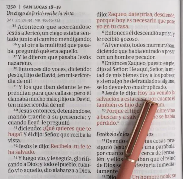 RVR 1960 Biblia letra gigante café piel
