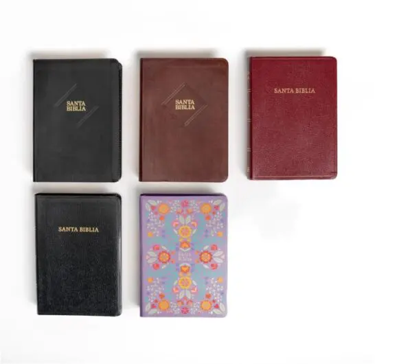 RVR 1960 Biblia letra gigante café piel