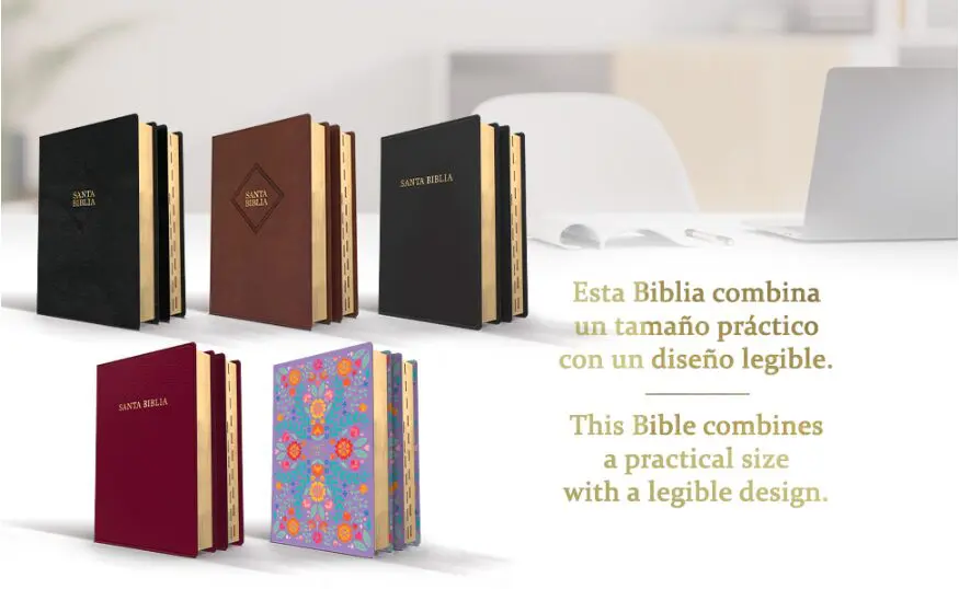 Biblia RVR60 Letra Gigante Café Piel