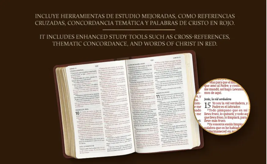 Biblia RVR60 Letra Gigante Café Piel
