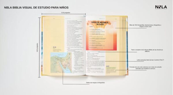 Biblia Visual De Estudio Para Niños NBLA/ Tapa Dura