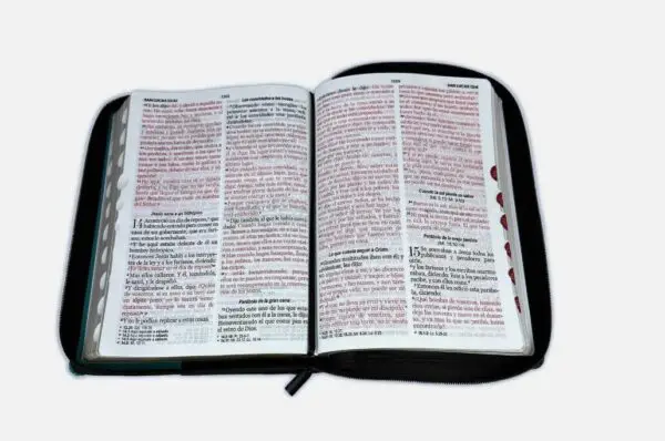 RVR 1960 Biblia Letra Gigante Zíper