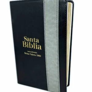 Biblia RVR60  Negra Gris 12 Puntos