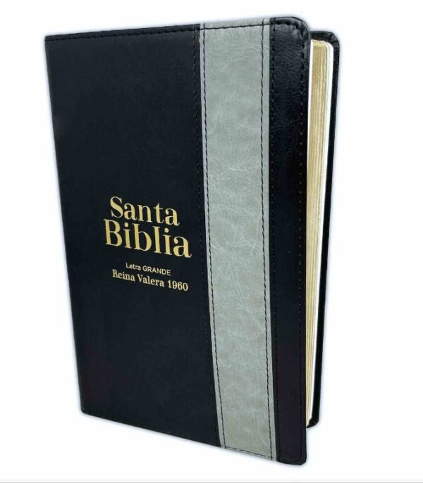 Biblia RVR60  Negra Gris 12 Puntos