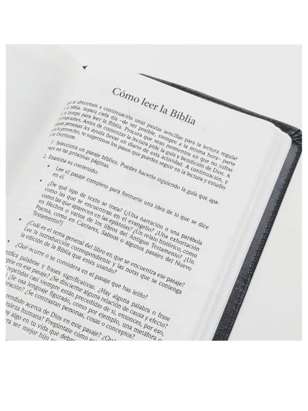 Biblia RVR1960 Letra Grande /Imitación Negro - Imagen 2