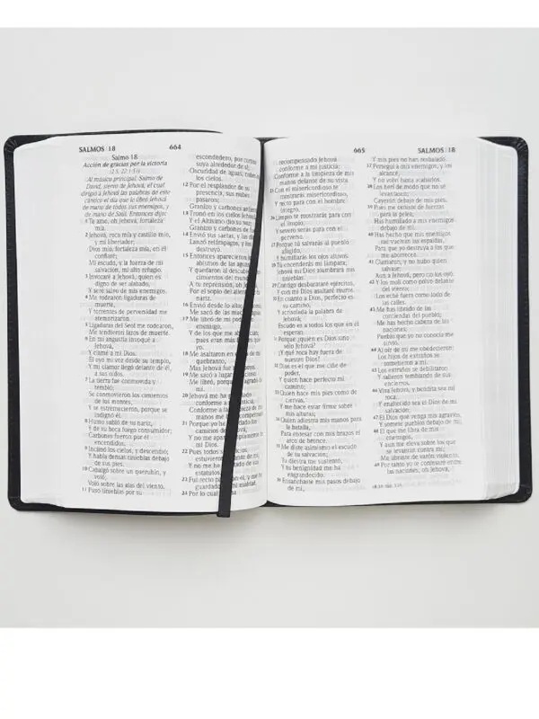 Biblia RVR1960 Letra Grande /Imitación Negro - Imagen 3